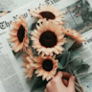 Meet your Posher, Emery